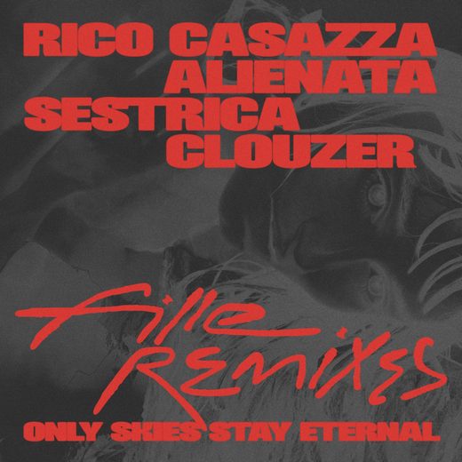 Only Skies Stay Eternal (Remixes) — cover art
