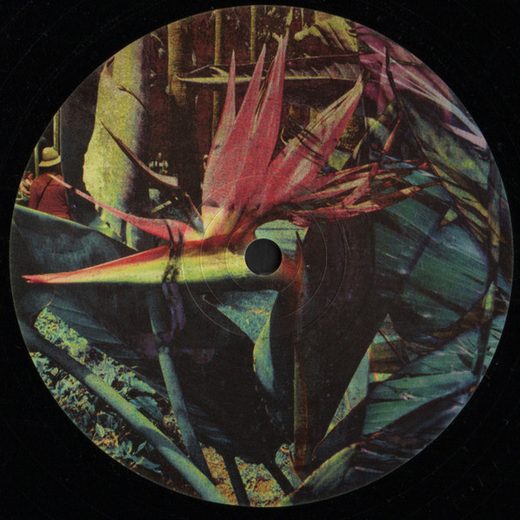 P!L_WHT/003 — cover art